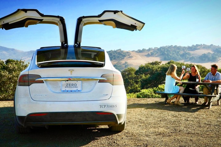 Tesla with open falcon wings parked near 4 people at a picnic table in a scenic outdoor setting.