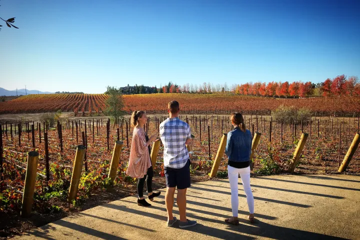 Tesla with open falcon wings parked near 4 people at a picnic table in a scenic outdoor setting.