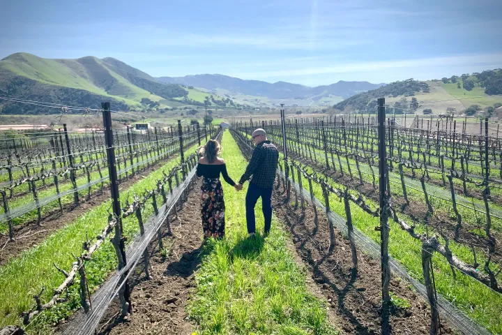 Couple walking hand in hand through a vineyard with mountains in the background.