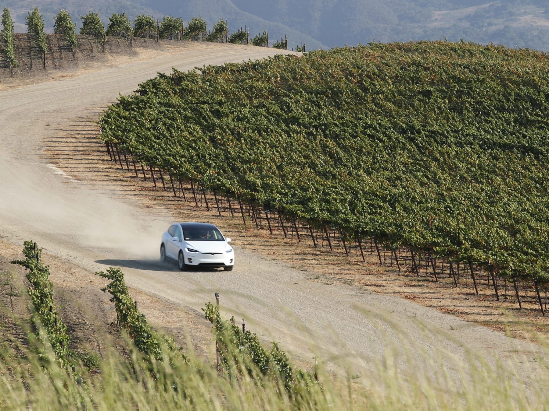 tesla driving through vineyard