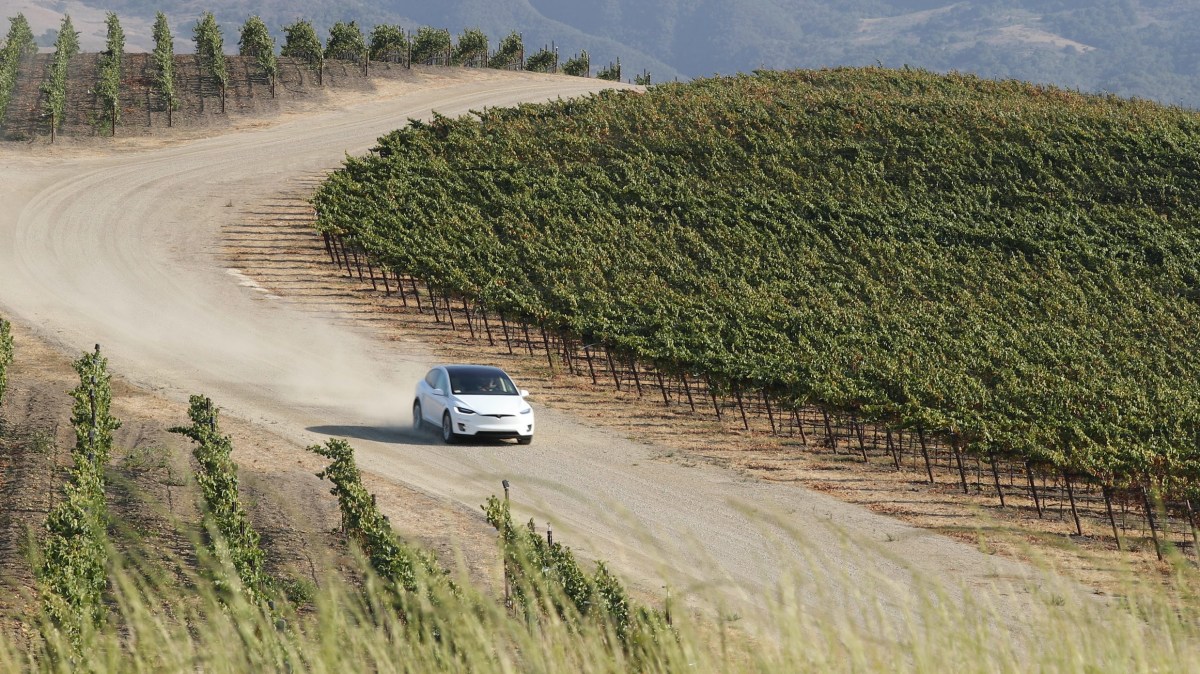 SV-Tour-Tesla1 tesla driving through vineyard