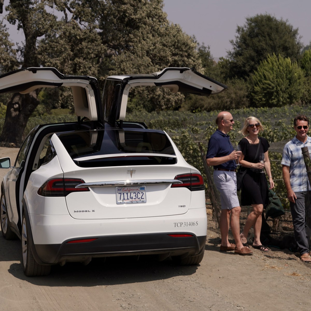 tesla at vineyard