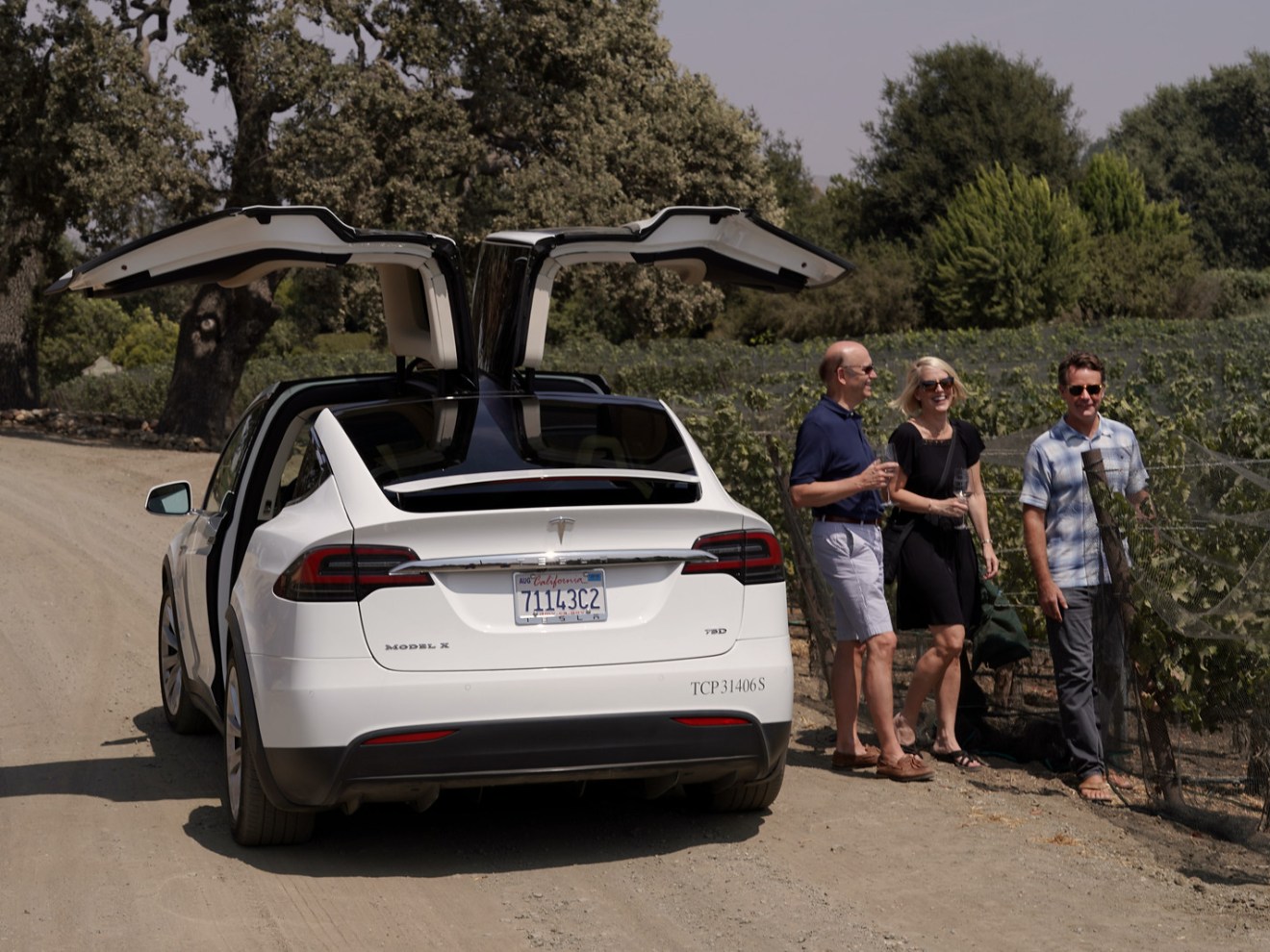 tesla at vineyard
