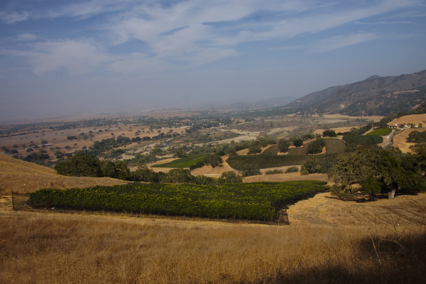 Tourism & Things to Do in Santa Barbara, California