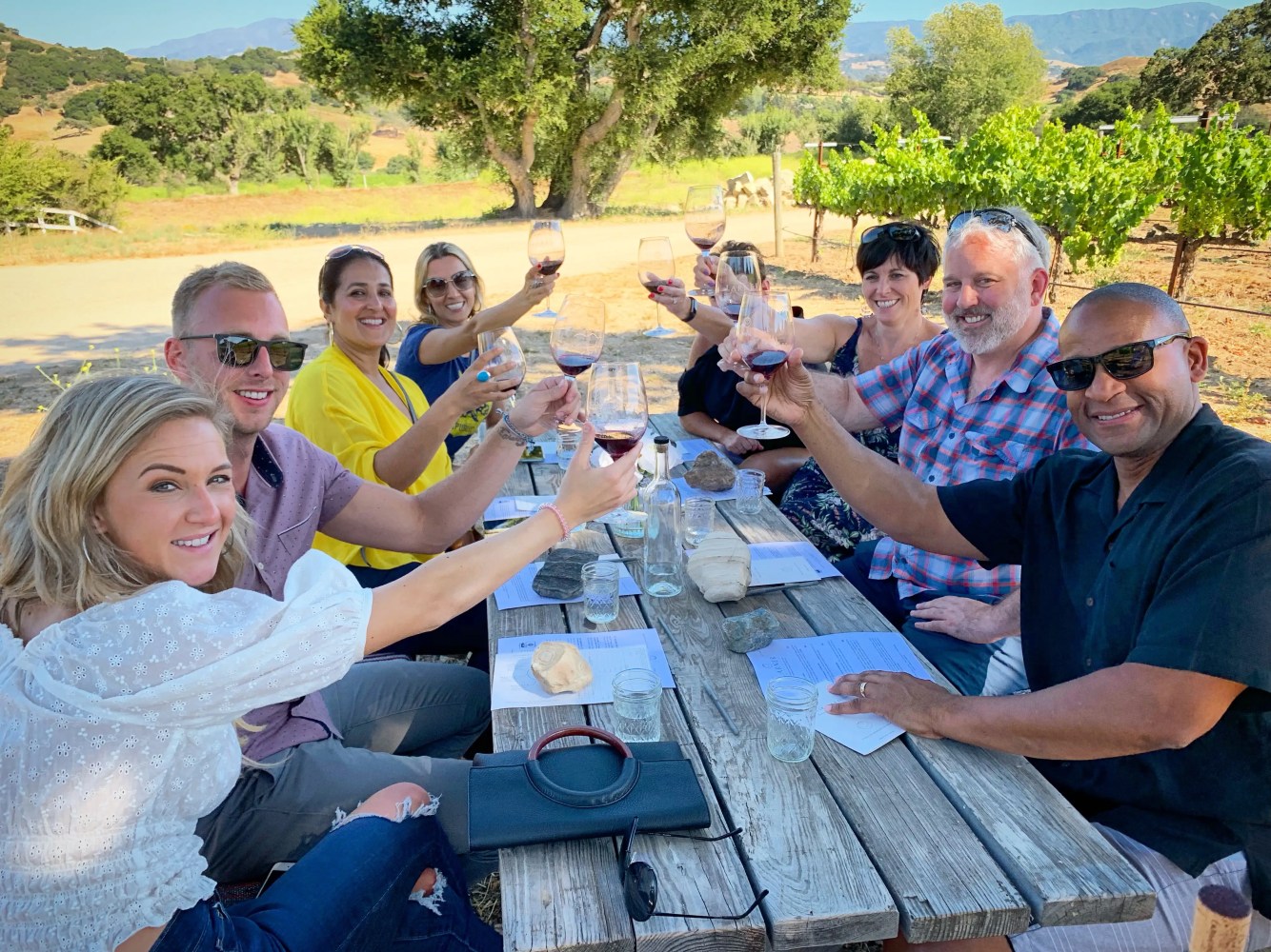Group of people toasting with wine at a picnic table in a vineyard.
