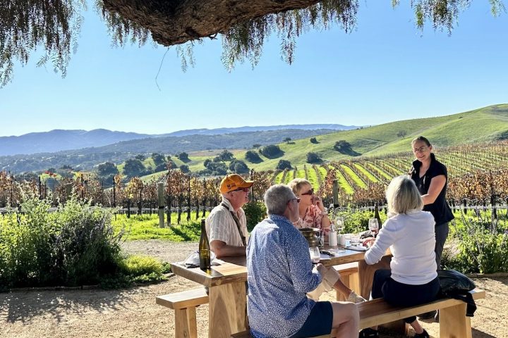 Sustainable Wine Tours showing private wine tour of 4 people having a tasting overlooking vineyard.