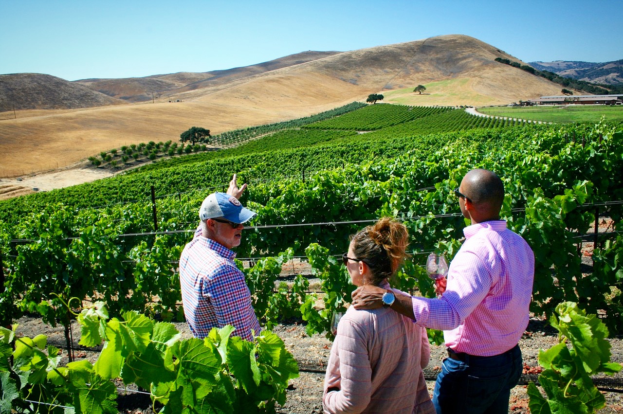 wine tour vineyard