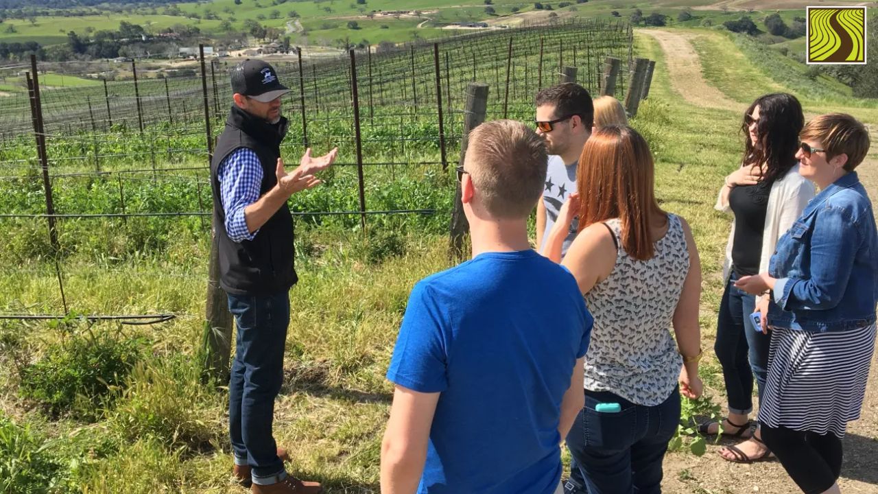 private-winery-tours-santa-barbara (1) Group of people listening to a guide in a sunny vineyard with scenic views.
