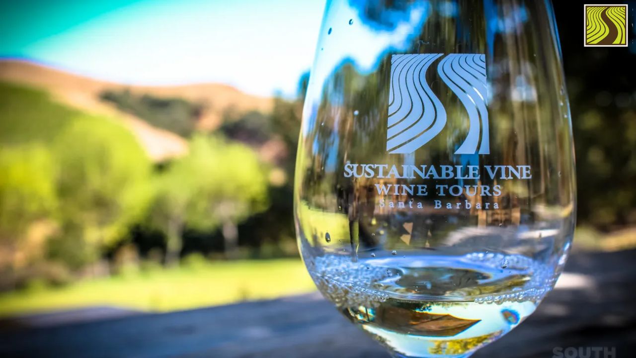 Close-up of a wine glass with 'Sustainable Vine Wine Tours' logo, blurred vineyard background.