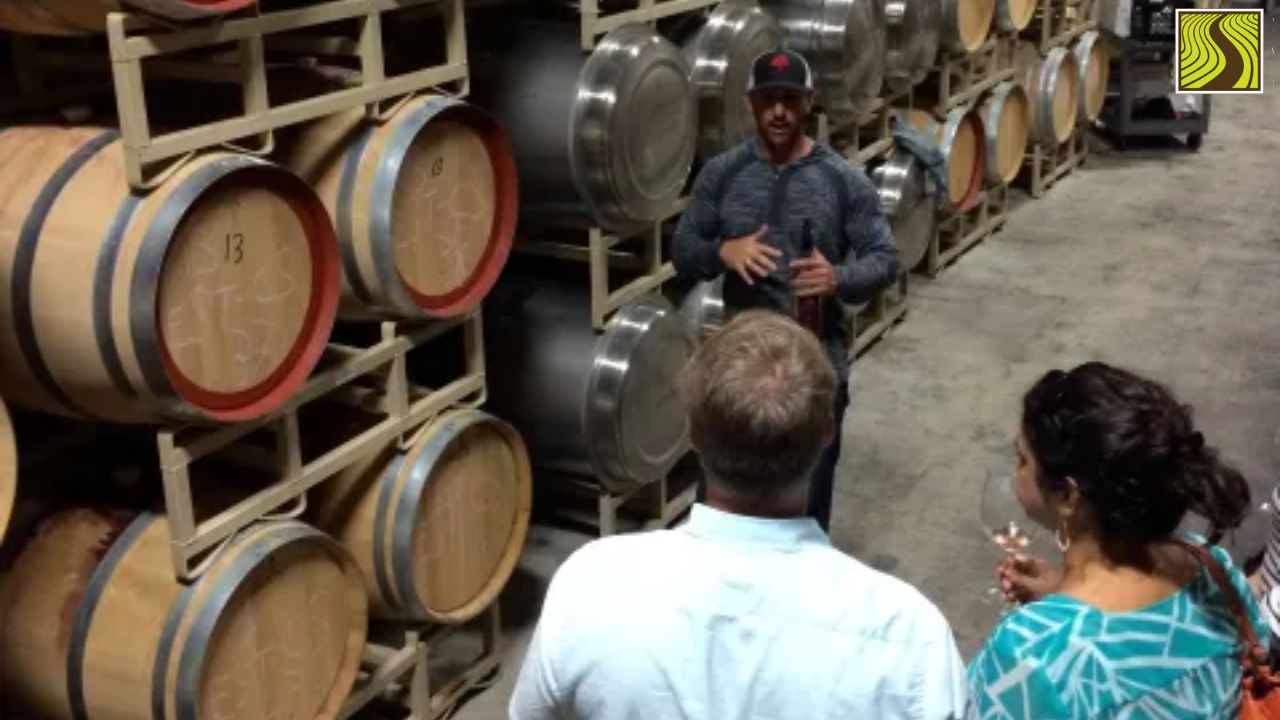 Tour group listening to guide near stacked wine barrels in a winery cellar.