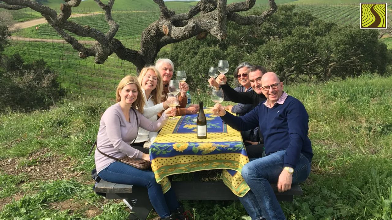 Group of six people sitting at a picnic table in a vineyard, toasting with wine glasses.