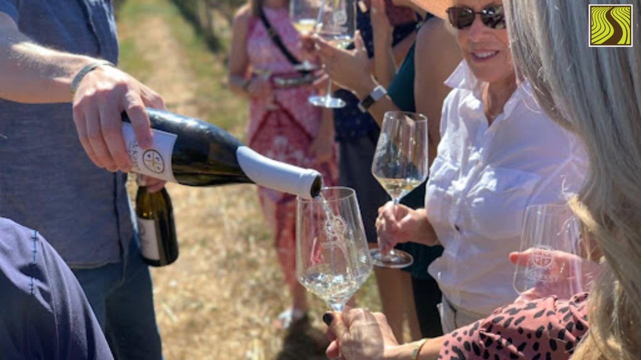 Group of people enjoying a wine tasting outdoors in a sunny vineyard.