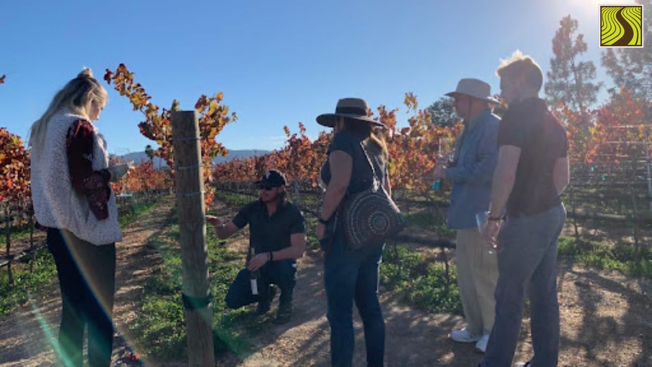 Group of people in a vineyard examining grapevines, with autumn foliage and clear sky.