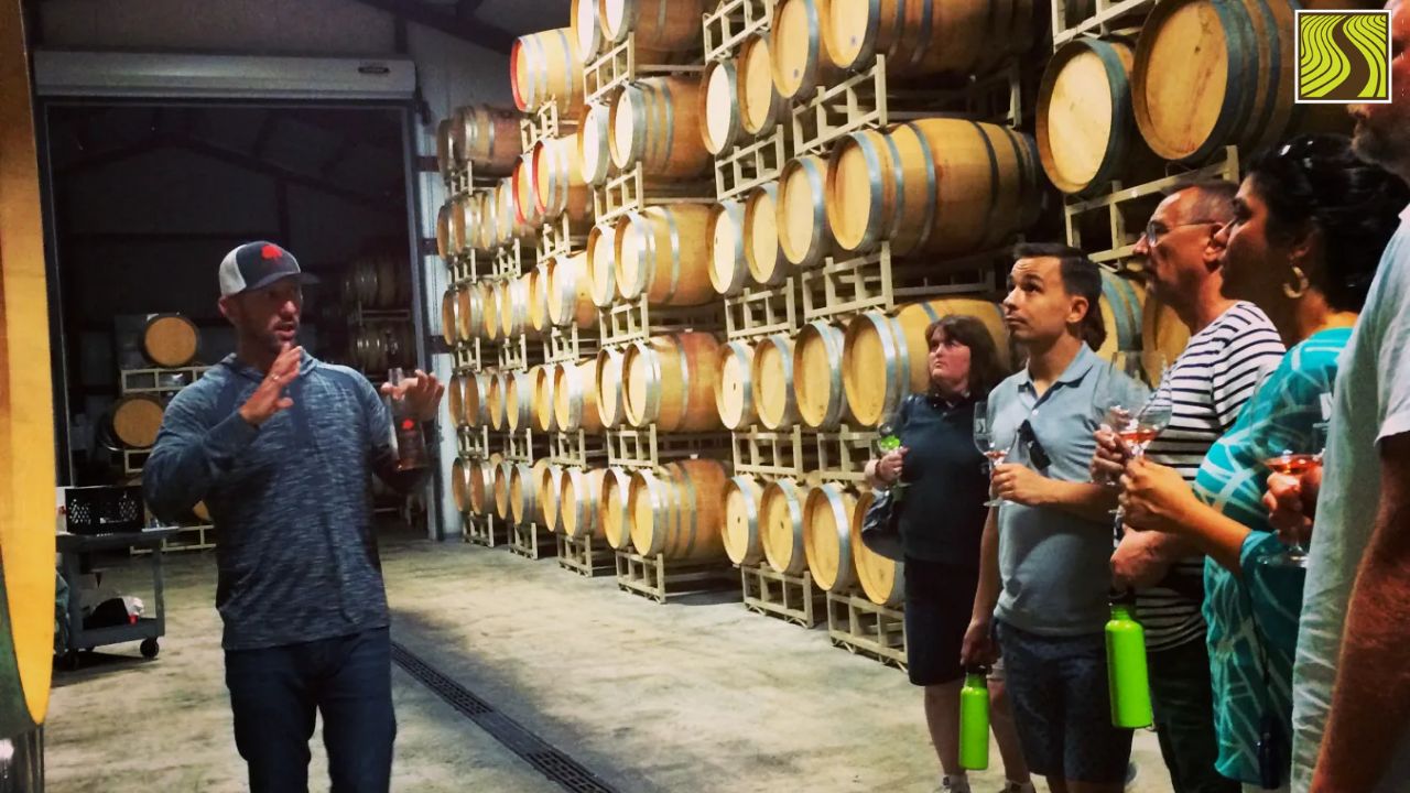 Person giving a tour to a group in a wine barrel storage room.