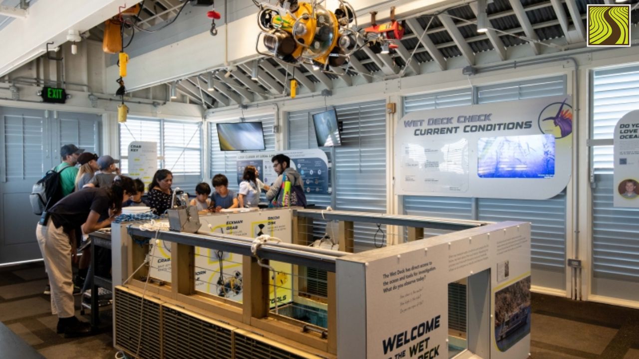 People observing interactive educational ocean display indoors.