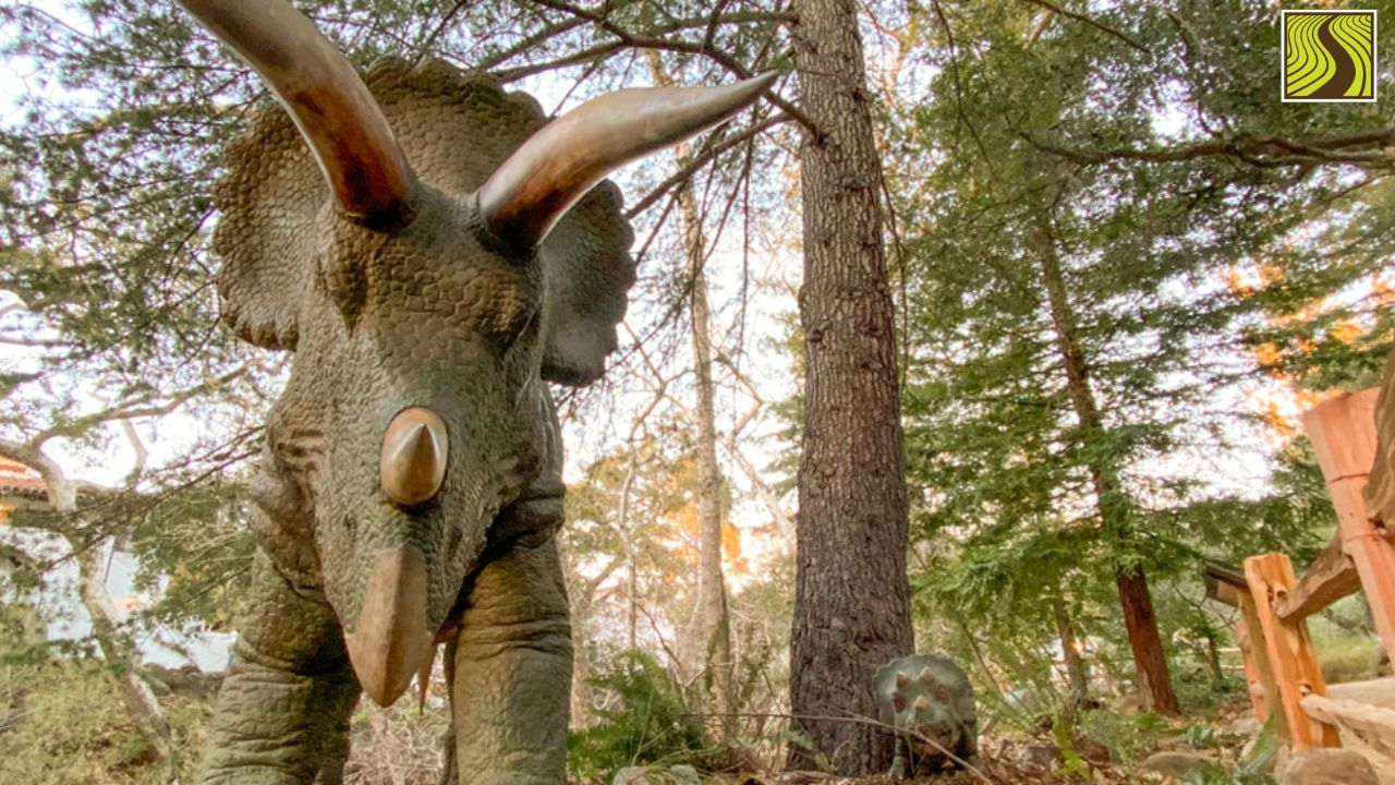 Triceratops sculpture in forest setting with trees around.