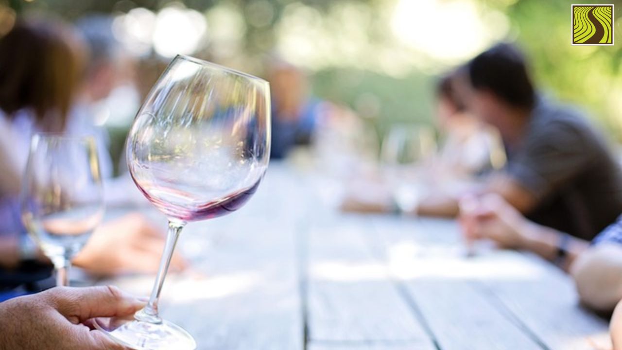 Close-up of a hand holding a wine glass at an outdoor gathering with blurred people in the background.