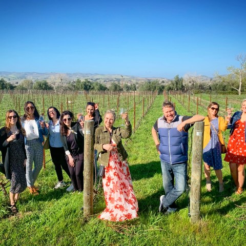 Group of people posing with wine glasses in a vineyard under a clear blue sky.