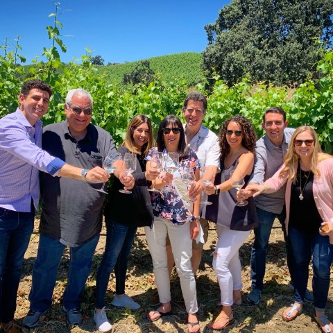Group of people toasting with wine glasses in a vineyard on a sunny day.