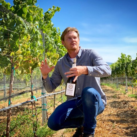Person kneeling in vineyard holding wine bottle with grapevines in the background.