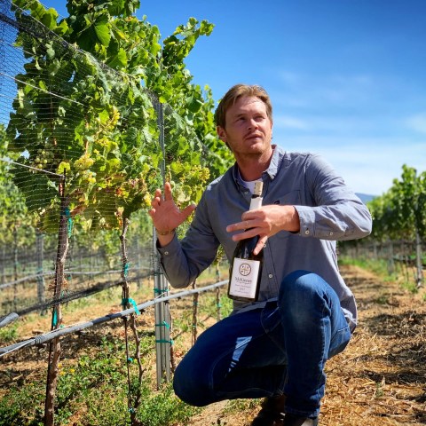 Person kneeling in vineyard holding a wine bottle under a clear blue sky.