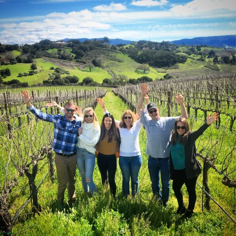 Six people in a vineyard, raising arms, with green hills and cloudy sky in the background.