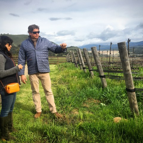 Two people at a vineyard, one pointing, with green hills and trellises in the background.
