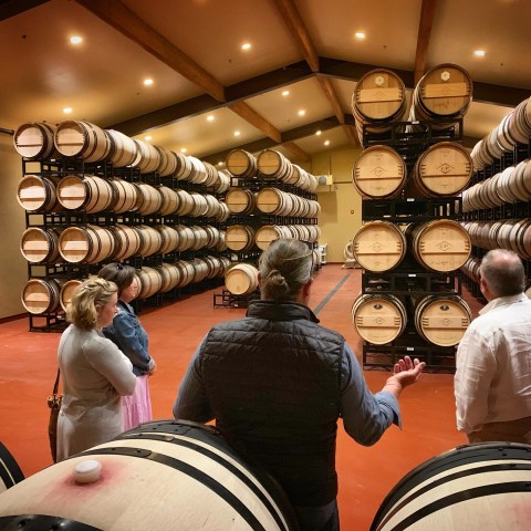 Group of people touring a wine cellar with many wooden barrels stacked in rows.