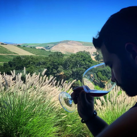Silhouette of a person smelling wine in a glass with vineyard and hills in the background.