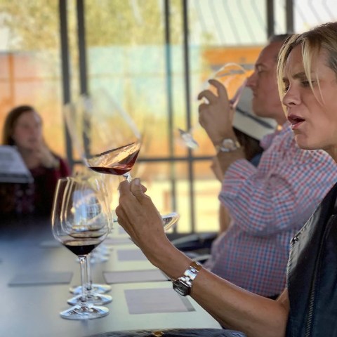 People sitting at a table wine tasting and examining wine glasses.
