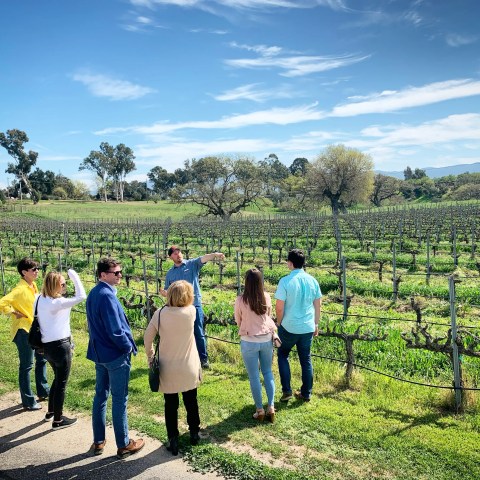 Group of people touring a vineyard under a clear blue sky.