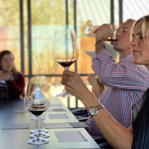 People tasting wine at a table with several wine glasses in focus.