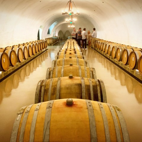 Wine barrels in a cellar with group of people at the end of the aisle.