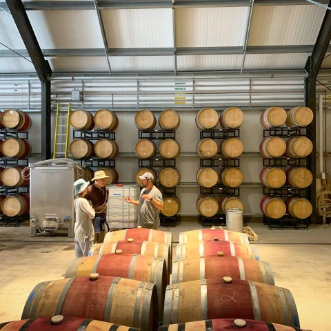 Three people discussing in a wine cellar with barrels stacked on racks.
