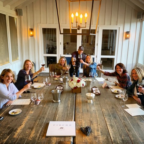 Group of people smiling and toasting at a rustic table with wine glasses and flowers.