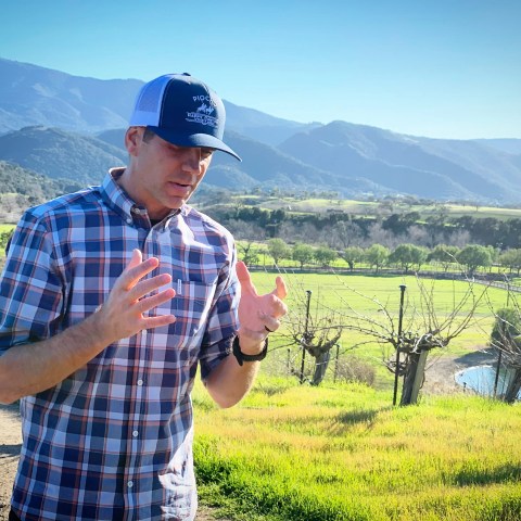 Person in plaid shirt and hat gestures in a scenic vineyard with mountains in the background.