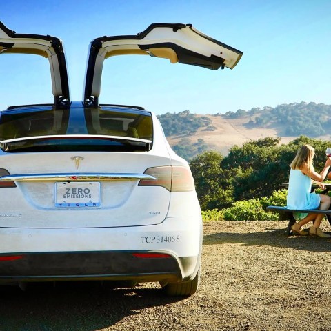 Tesla with open doors near picnic table with four people outdoors.