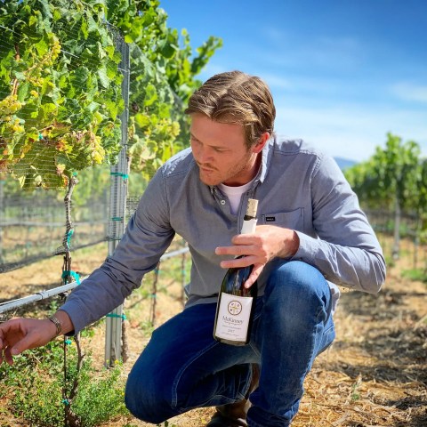 Man kneeling in vineyard, holding wine bottle near grapevines under blue sky.