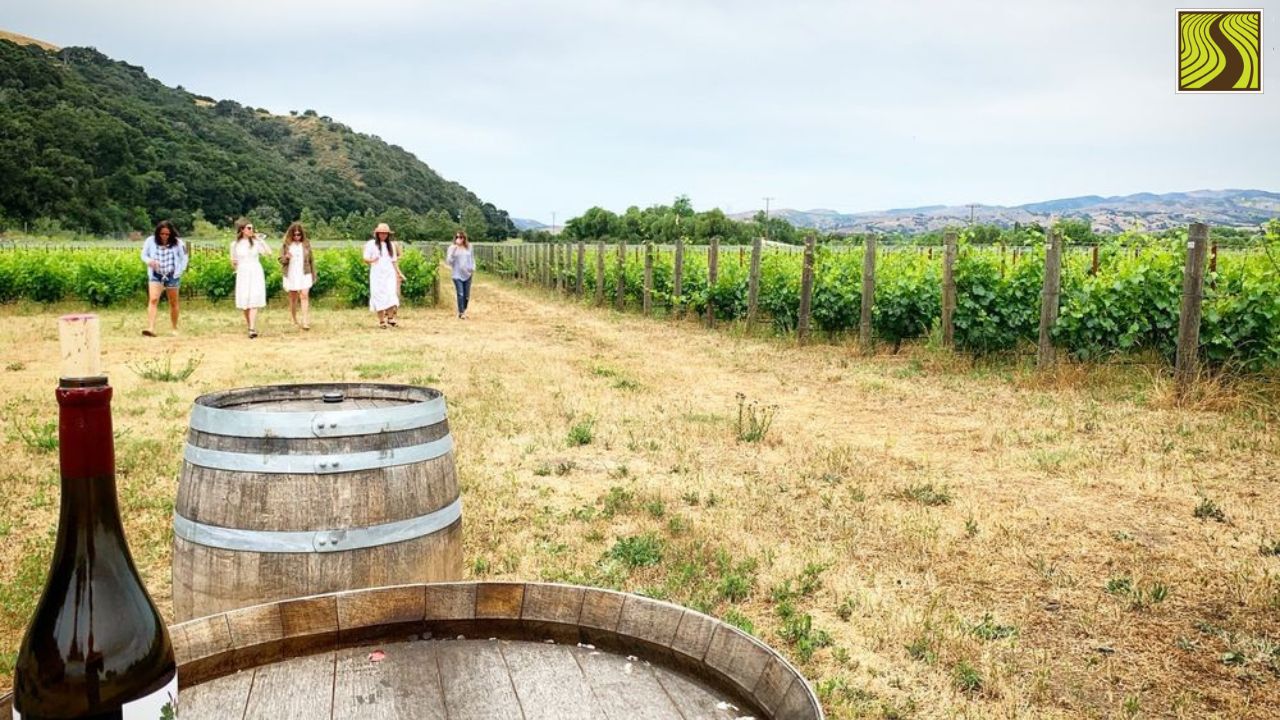 California Wine Country Trips Explore Top Wineries and Scenic Vineyards (1) People walking in a vineyard near a wine barrel and bottle under a cloudy sky.