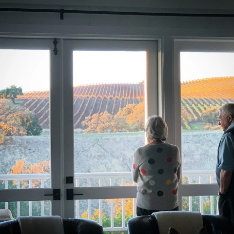 Two people on a balcony viewing a hillside vineyard through large windows at sunset.