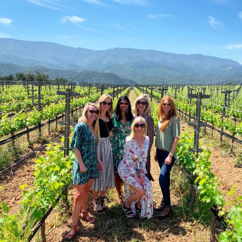 Six women standing together in a vineyard with mountains in the background.