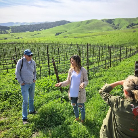 People standing in a vineyard with green hills and a blue sky in the background.