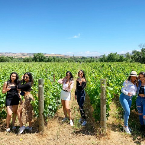 Six women in a vineyard holding wine glasses, smiling under a clear blue sky.