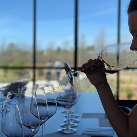 Person smelling wine in a glass with several empty glasses in front on a table.