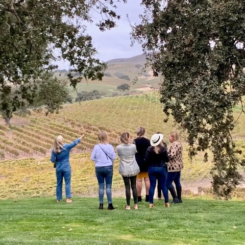 A group of people standing on grass, looking at a vineyard under a cloudy sky.