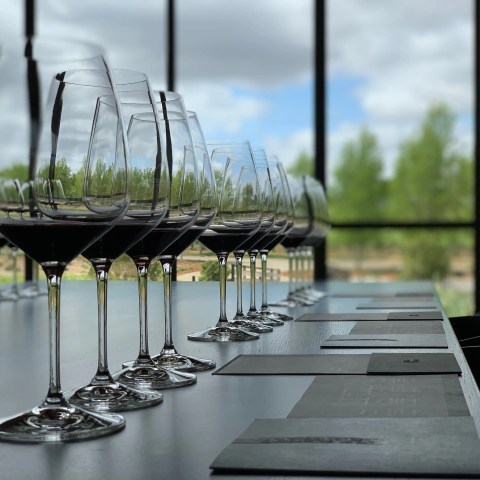 Row of wine glasses with red wine on a table near a large window with an outdoor view.