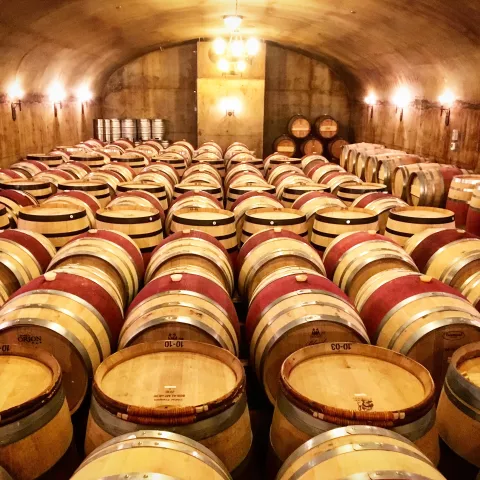Rows of wine barrels in a dimly lit cellar with arched ceiling.