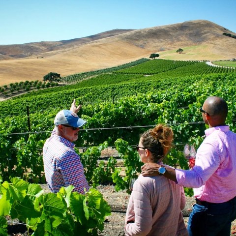 Three people in a vineyard overlooking green vines and rolling hills under a clear blue sky.