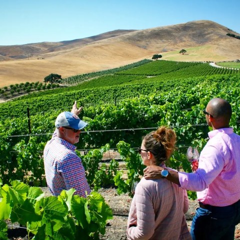 Three people stand in a vineyard with rolling hills in the background.