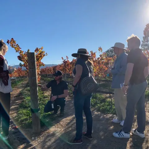 Group of people observing vineyards on a sunny day, one person kneeling.